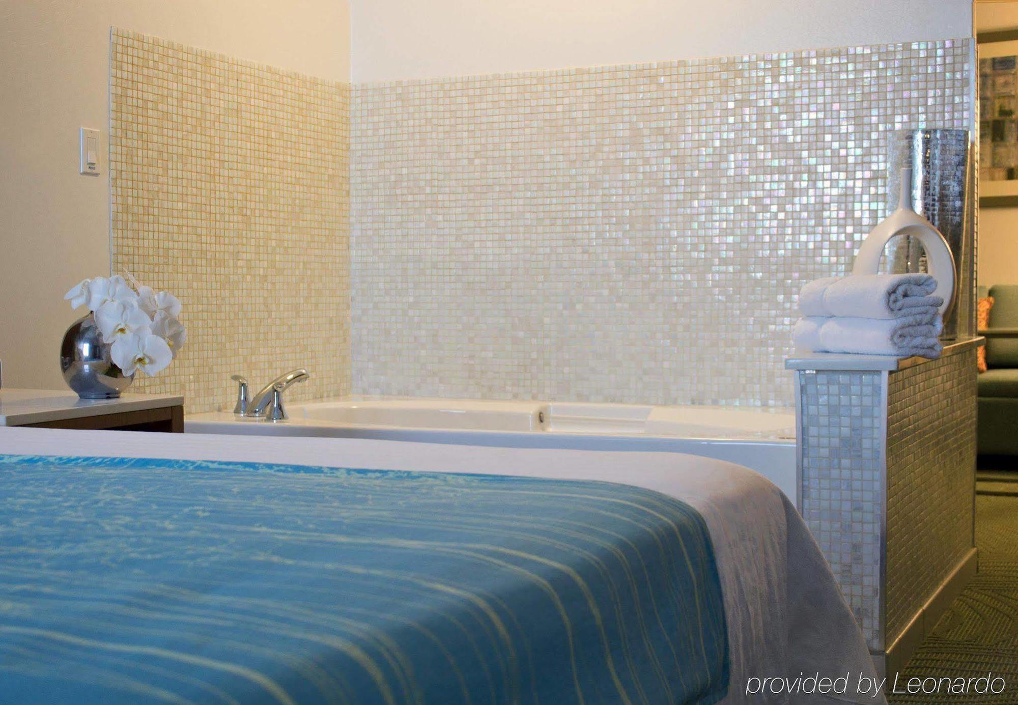 Springhill Suites Cincinnati Airport South Florence Pokoj fotografie